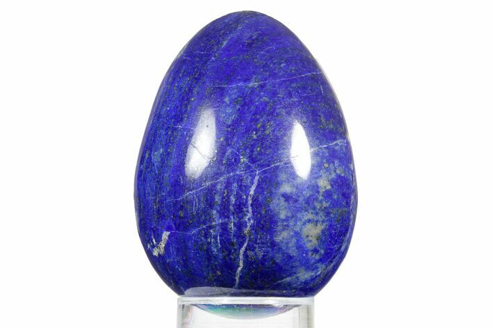 Polished Lapis Lazuli Egg - Pakistan #352501
